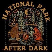 National Park After Dark Premium T-Shirt