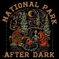 National Park After Dark T-Shirt