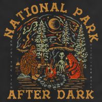 National Park After Dark 11oz C Handle Ceramic Mug