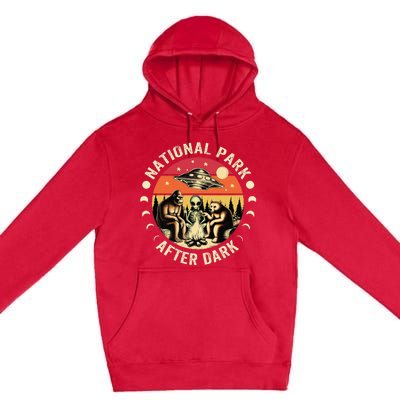 National Park After Dark Funny Premium Pullover Hoodie