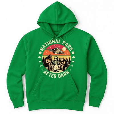 National Park After Dark Funny Hoodie