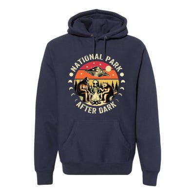 National Park After Dark Funny Premium Hoodie