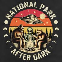 National Park After Dark Funny Cool Comfort Performance Bucket Hat