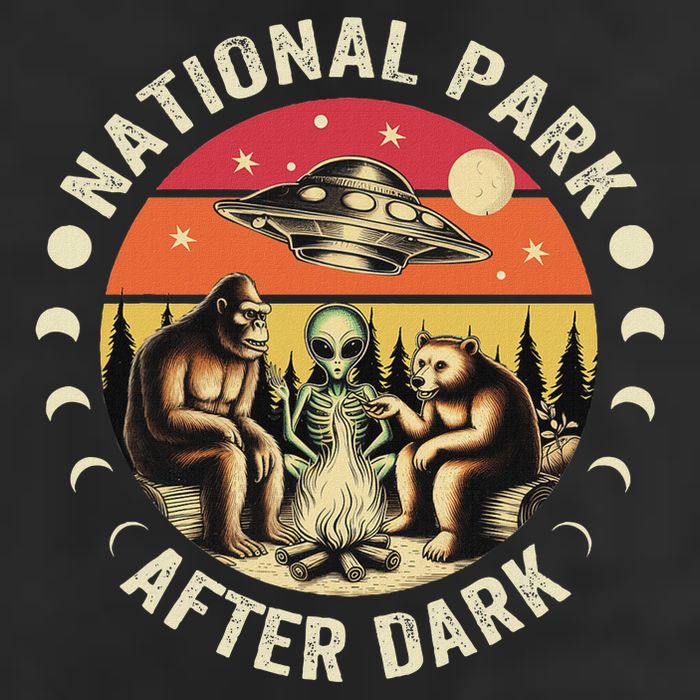 National Park After Dark Funny Cool Comfort Performance Bucket Hat