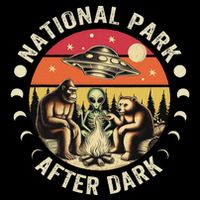 National Park After Dark Funny Cooling Performance Crew T-Shirt