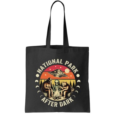 National Park After Dark Funny Bag