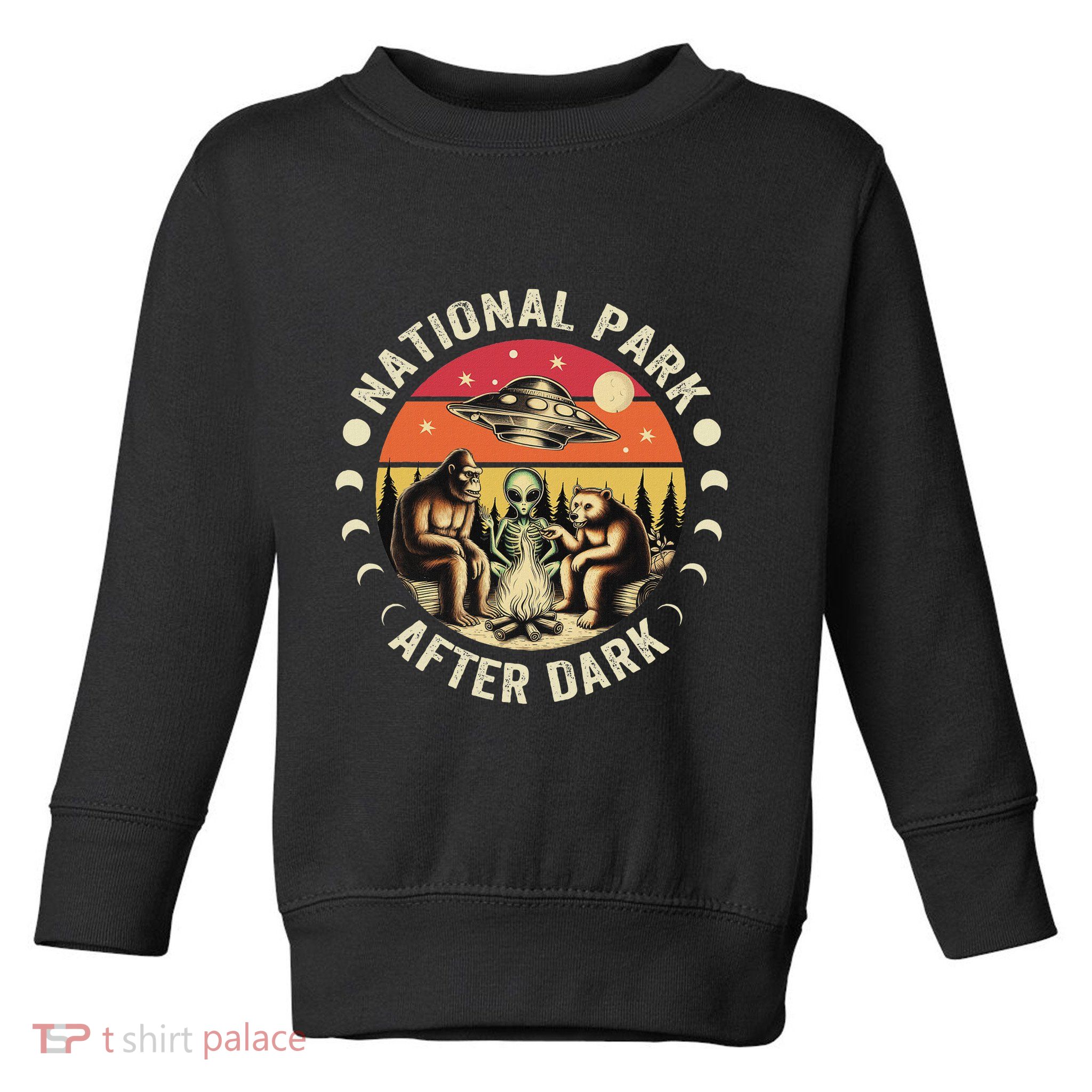 National Park After Dark Funny Toddler Sweatshirt