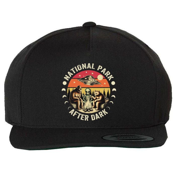 National Park After Dark Funny Wool Snapback Cap