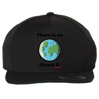 No Plan B Earth Day Climate Change Gift Wool Snapback Cap