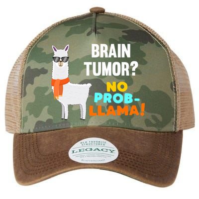 No Probgiftllama Brain Tumor Survivor Recovery Get Well Funny Gift Cool Gift Legacy Tie Dye Trucker Hat