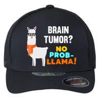 No Probgiftllama Brain Tumor Survivor Recovery Get Well Funny Gift Cool Gift Flexfit Unipanel Trucker Cap