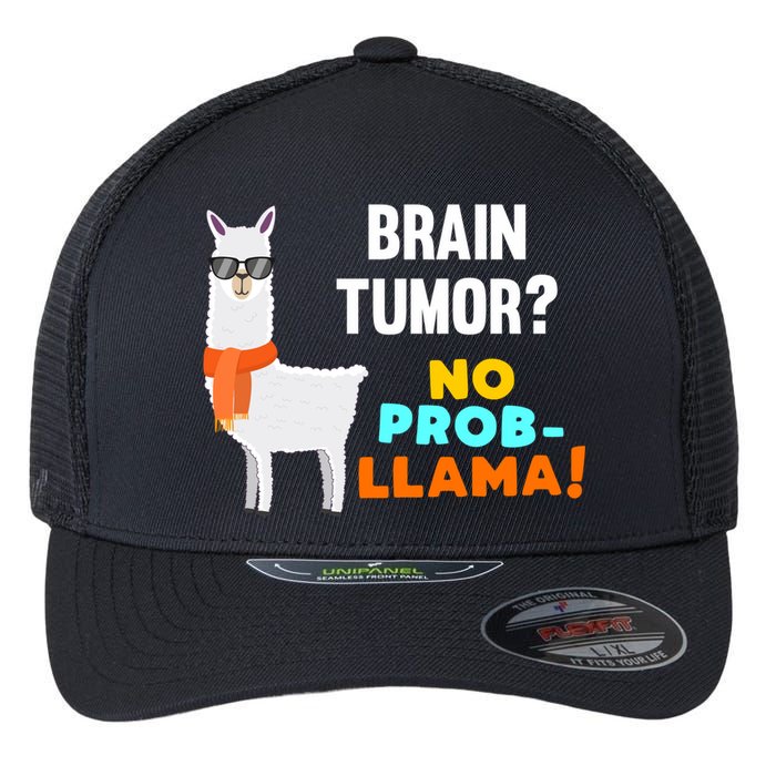 No Probgiftllama Brain Tumor Survivor Recovery Get Well Funny Gift Cool Gift Flexfit Unipanel Trucker Cap