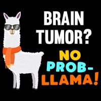 No Probgiftllama Brain Tumor Survivor Recovery Get Well Funny Gift Cool Gift 7-Panel Snapback Hat
