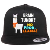 No Probgiftllama Brain Tumor Survivor Recovery Get Well Funny Gift Cool Gift Flat Bill Trucker Hat