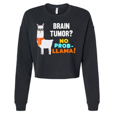 No Probgiftllama Brain Tumor Survivor Recovery Get Well Funny Gift Cool Gift Cropped Pullover Crew