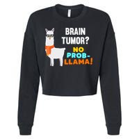No Probgiftllama Brain Tumor Survivor Recovery Get Well Funny Gift Cool Gift Cropped Pullover Crew