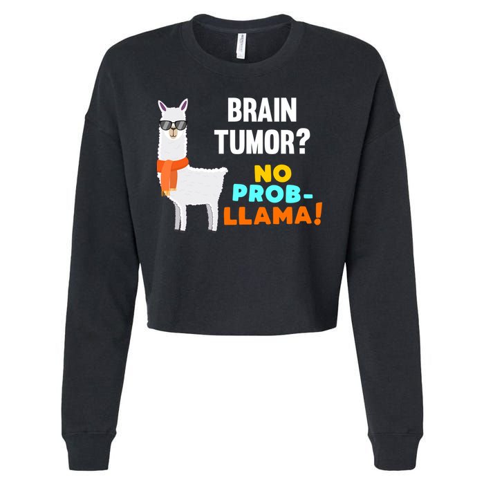 No Probgiftllama Brain Tumor Survivor Recovery Get Well Funny Gift Cool Gift Cropped Pullover Crew