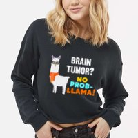 No Probgiftllama Brain Tumor Survivor Recovery Get Well Funny Gift Cool Gift Cropped Pullover Crew