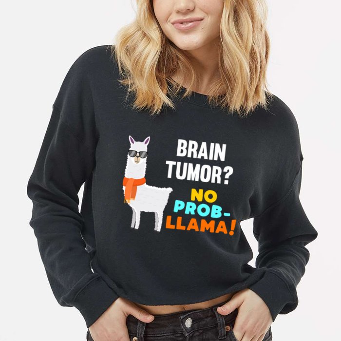 No Probgiftllama Brain Tumor Survivor Recovery Get Well Funny Gift Cool Gift Cropped Pullover Crew