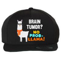 No Probgiftllama Brain Tumor Survivor Recovery Get Well Funny Gift Cool Gift Wool Snapback Cap