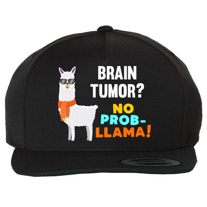 No Probgiftllama Brain Tumor Survivor Recovery Get Well Funny Gift Cool Gift Wool Snapback Cap