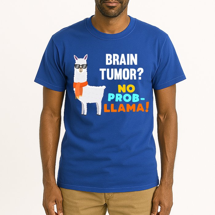 No Probgiftllama Brain Tumor Survivor Recovery Get Well Funny Gift Cool Gift Tall T-Shirt