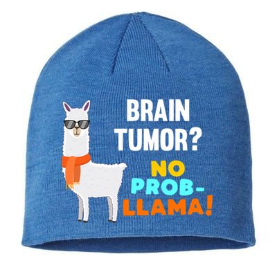 No Probgiftllama Brain Tumor Survivor Recovery Get Well Funny Gift Cool Gift Sustainable Beanie