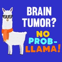 No Probgiftllama Brain Tumor Survivor Recovery Get Well Funny Gift Cool Gift Magnet