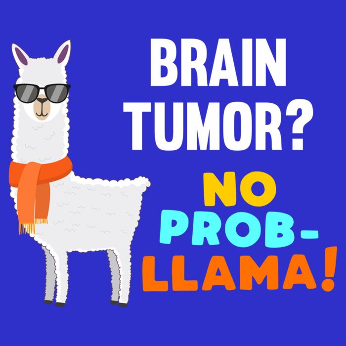 No Probgiftllama Brain Tumor Survivor Recovery Get Well Funny Gift Cool Gift Poster