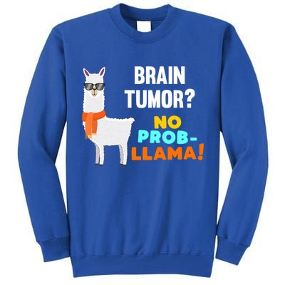 No Probgiftllama Brain Tumor Survivor Recovery Get Well Funny Gift Cool Gift Tall Sweatshirt