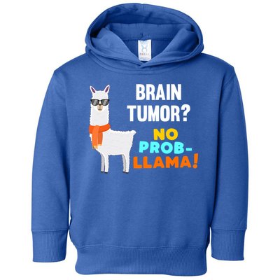 No Probgiftllama Brain Tumor Survivor Recovery Get Well Funny Gift Cool Gift Toddler Hoodie