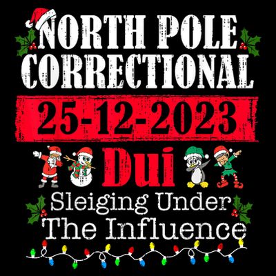 North Pole Correctional Dui Sleiging Under The Influence T-Shirt