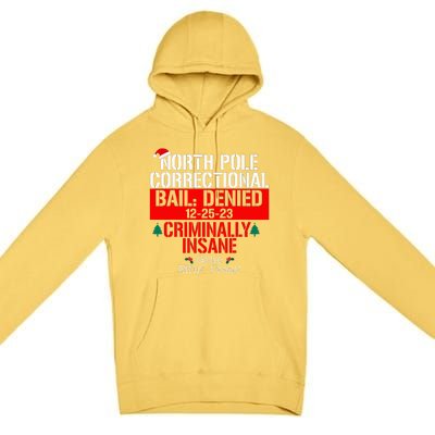 North Pole Correctional Bail Denied Criminally Insane Gone Premium Pullover Hoodie