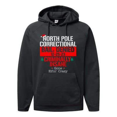 North Pole Correctional Bail Denied Criminally Insane Gone Performance Fleece Hoodie