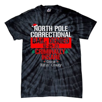 North Pole Correctional Bail Denied Criminally Insane Gone Tie-Dye T-Shirt