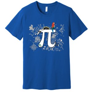 National Pi Day 3 14 Pi Symbol Math Science Gift Pi Bird Cool Gift Premium T-Shirt