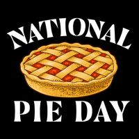National Pie Day Pi Day Science Math Lover Meaningful Gift Wool Snapback Cap