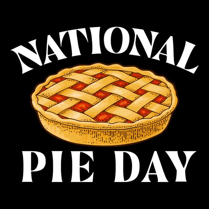 National Pie Day Pi Day Science Math Lover Meaningful Gift Wool Snapback Cap