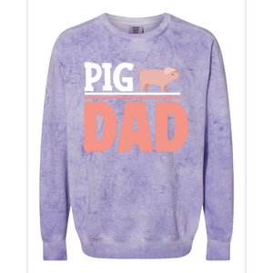 National Pig Day Pig Dad Gift Colorblast Crewneck Sweatshirt