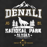 National Park Denali Alaska Adult Drive Performance Visor