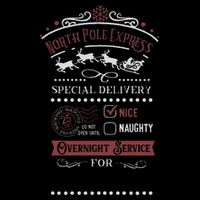 North Pole Express Overnight Service Christmas Wool Snapback Cap