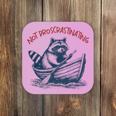 Not Proscrastinating Funny Raccoon Boat Ride Coaster