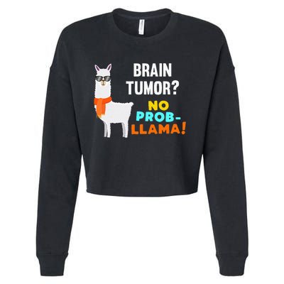 No Prob Llama Brain Tumor Survivor Recovery Get Well Gifts Cropped Pullover Crew