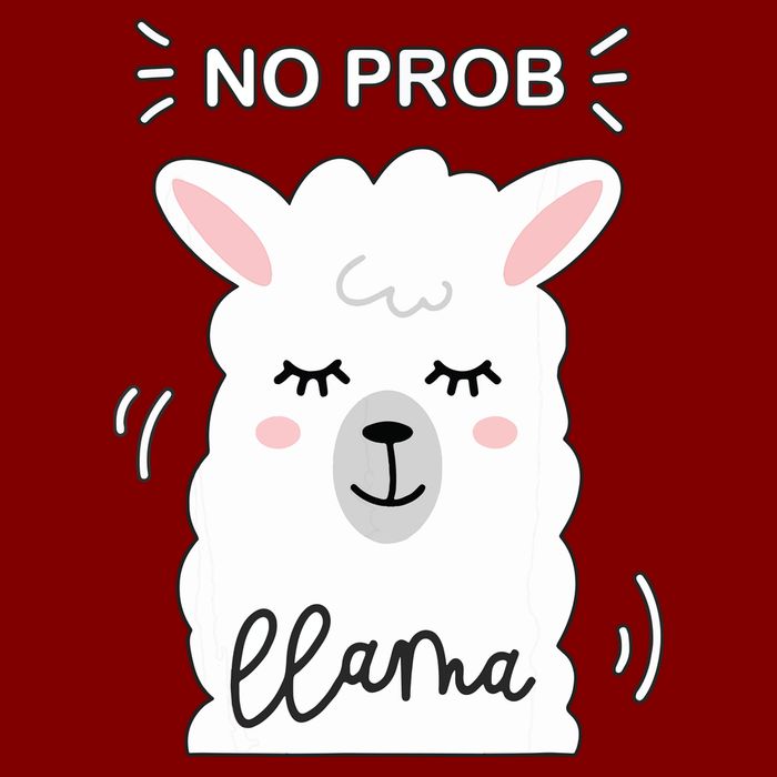 No Prob Llama Cute Funny No Drama Alpaca Lammacorn T-Shirt