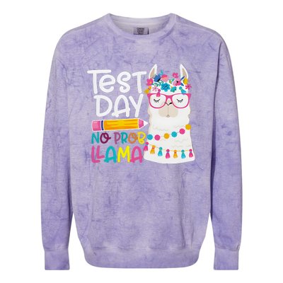 No Problem Llama Testing State Testing Colorblast Crewneck Sweatshirt