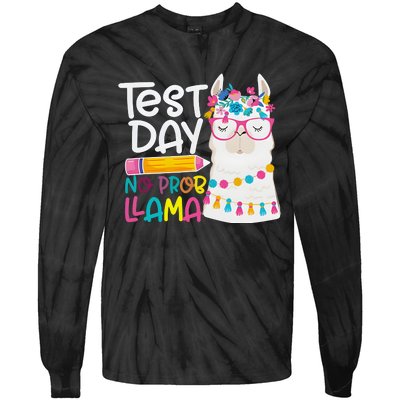 No Problem Llama Testing State Testing Tie-Dye Long Sleeve Shirt