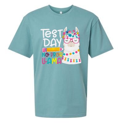 No Problem Llama Testing State Testing Sueded Cloud Jersey T-Shirt