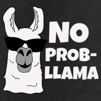 No Probllama Llama Problem Funny Garment-Dyed Heavyweight T-Shirt