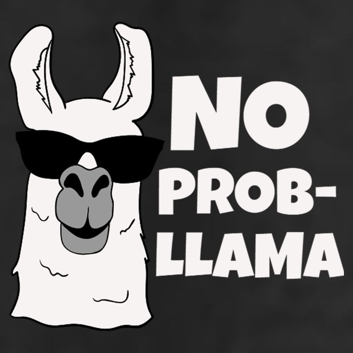 No Probllama Llama Problem Funny Garment-Dyed Heavyweight T-Shirt
