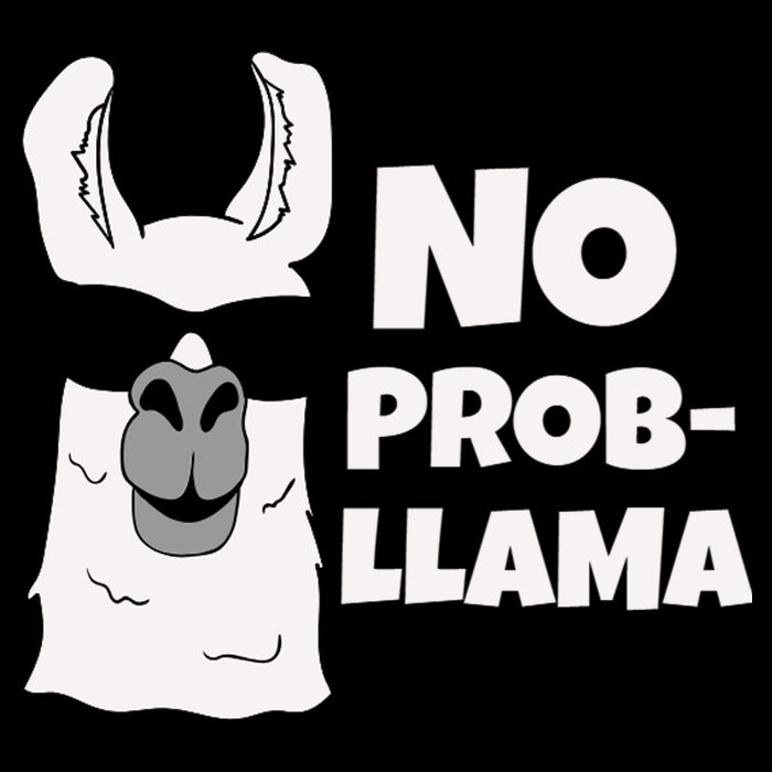 No Probllama Llama Problem Funny 16 in Basic Backpack